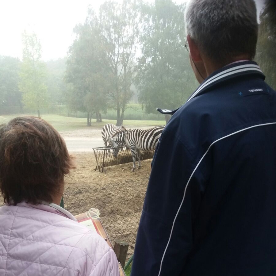 Beekse Bergen uitstapje een succes