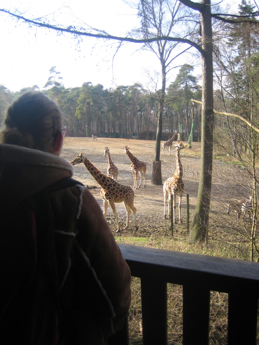 Burgers Zoo