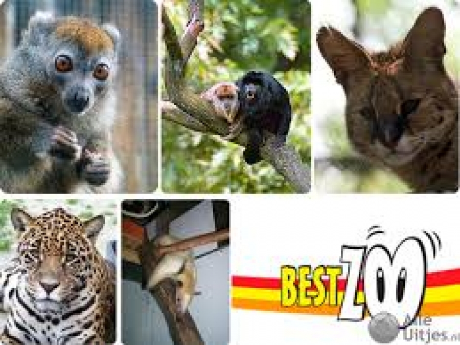 30 VRIJKAARTJES BESTZOO VERGEVEN