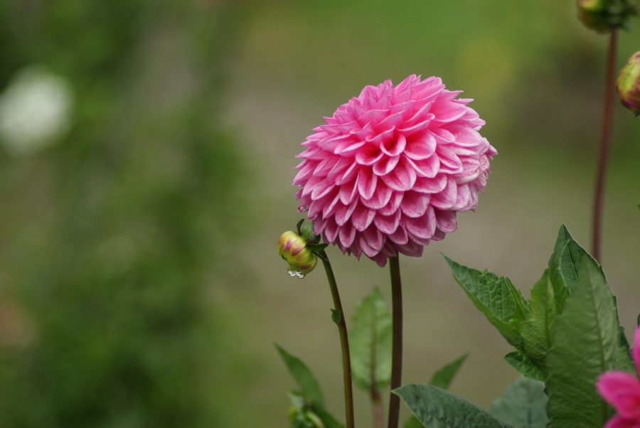 De natuur in beeld!