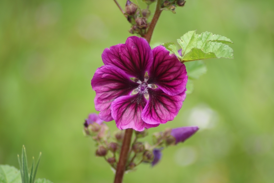 De natuur in beeld!
